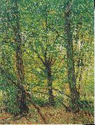 Vincent Van Gogh Trees and Undergrowth Sweden oil painting artist